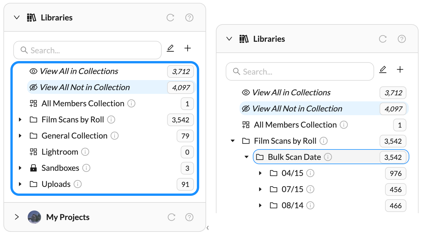 Navigate a Collection Tree.png