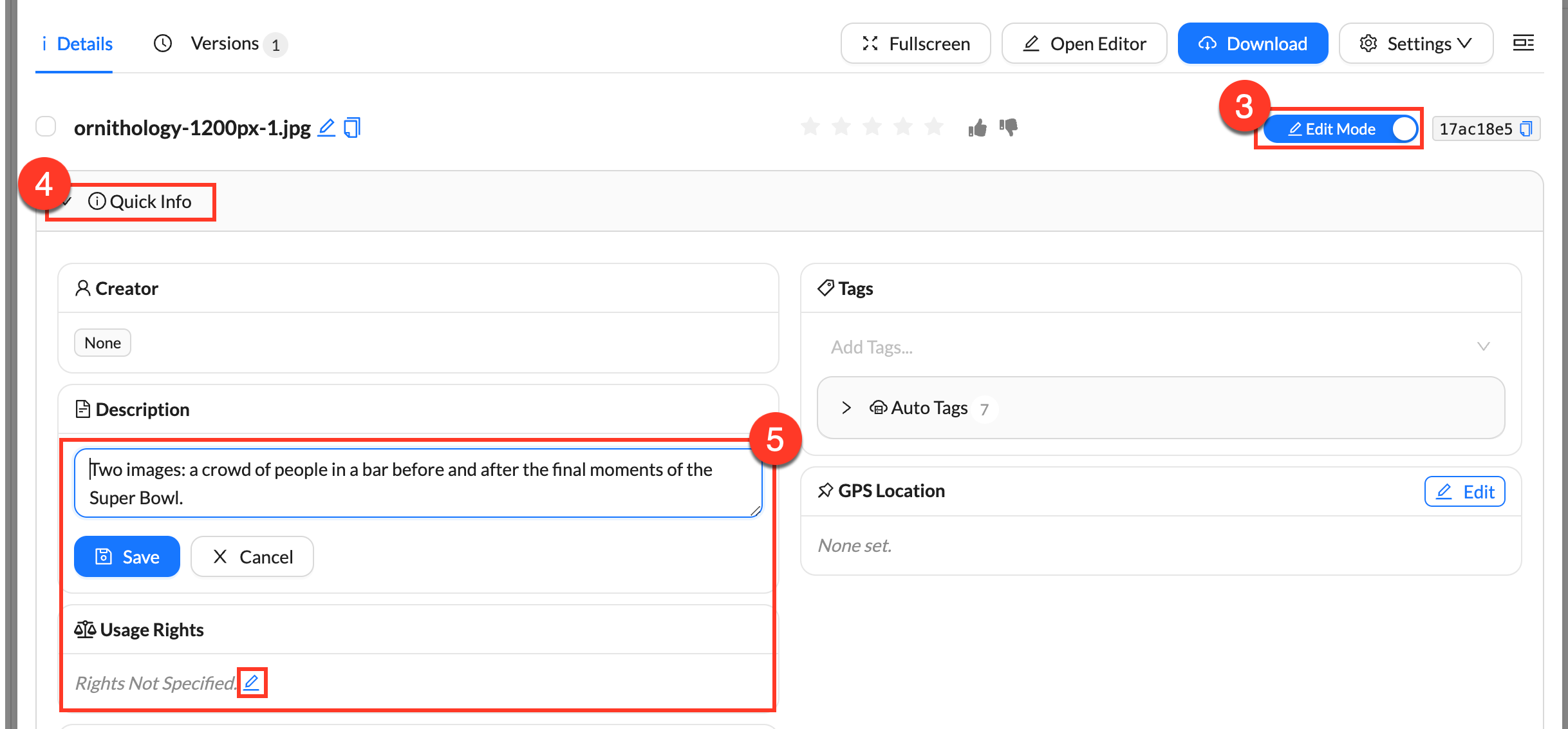 Edit Metadata in the Asset Detail View.png