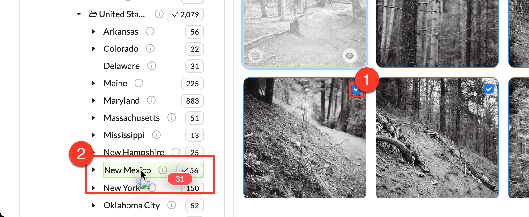 Drag and drop onto the filter panel.png