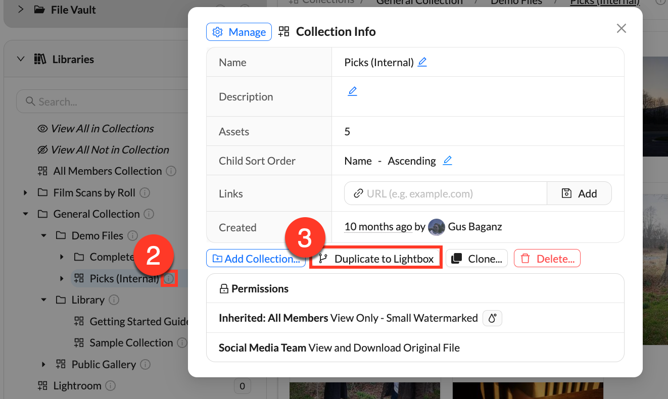 duplicate a collection to a lightbox.png