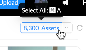 select all.png