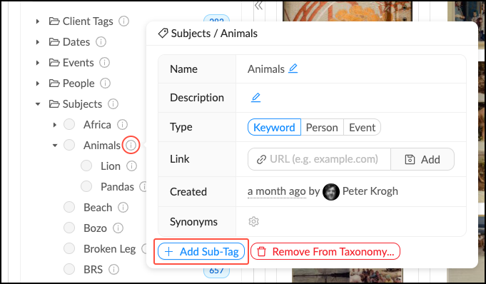 Add_Tag_to_Taxonomy_3.png