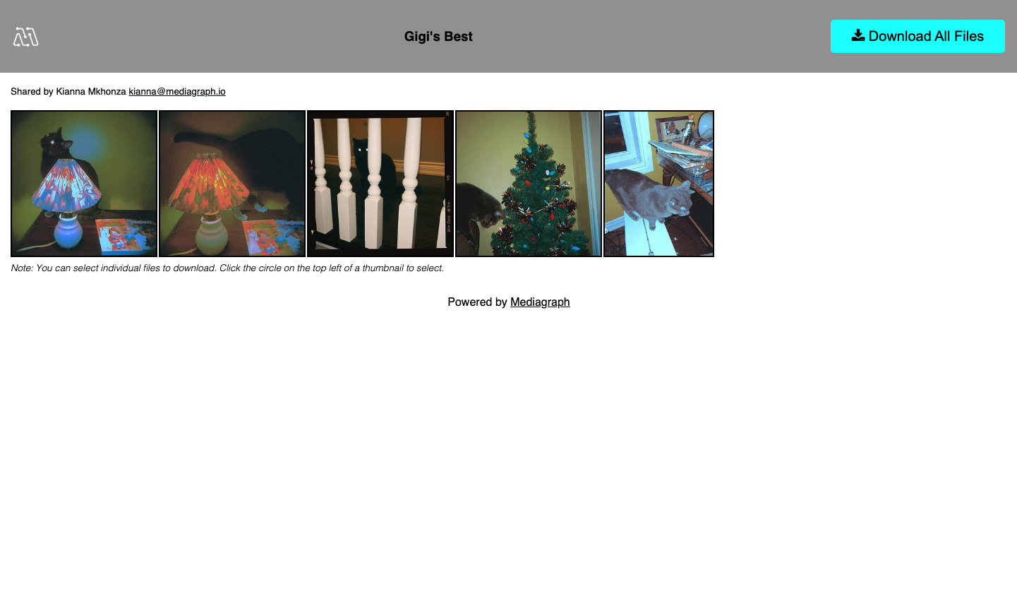 quick-share-gallery-view.png