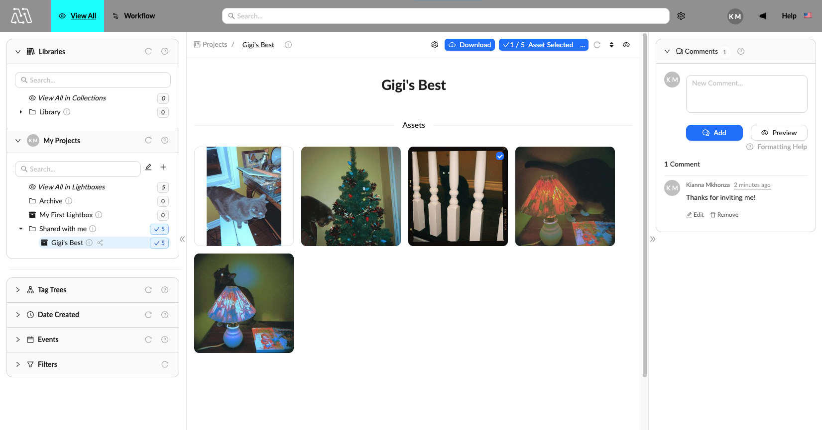 lightbox-invitation-view.png