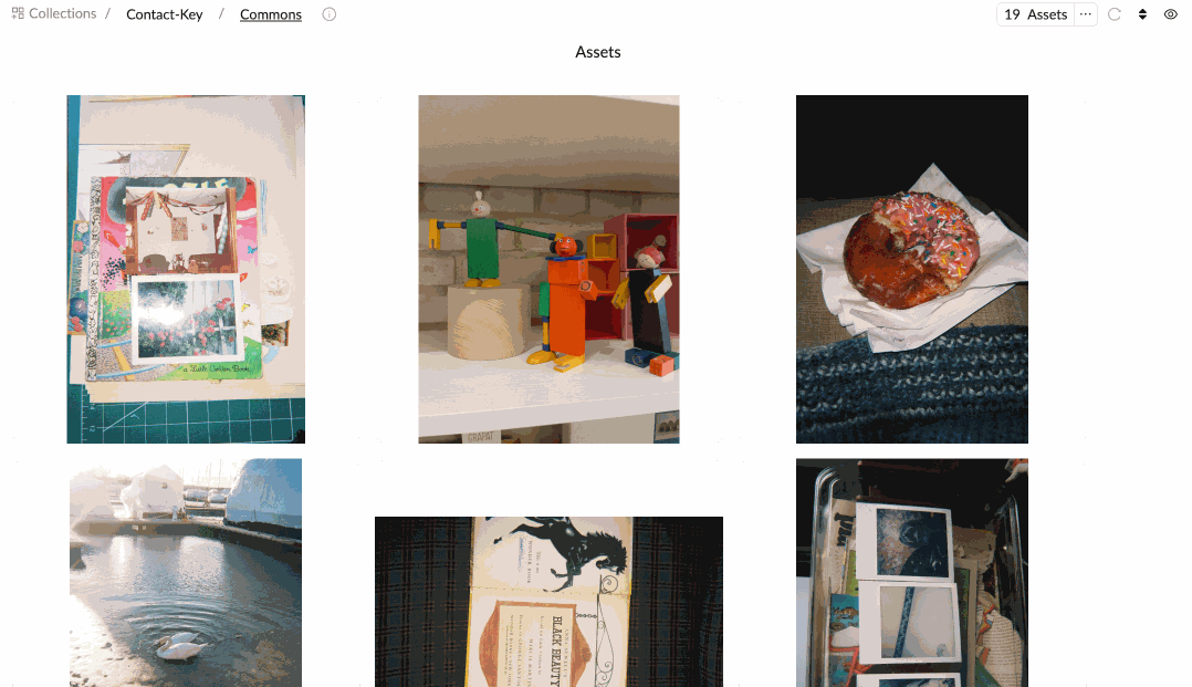 GUID-from-details-view.gif